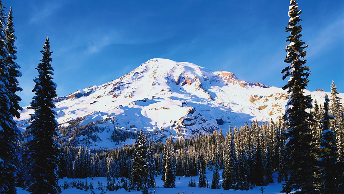 Image result for mt rainier winter