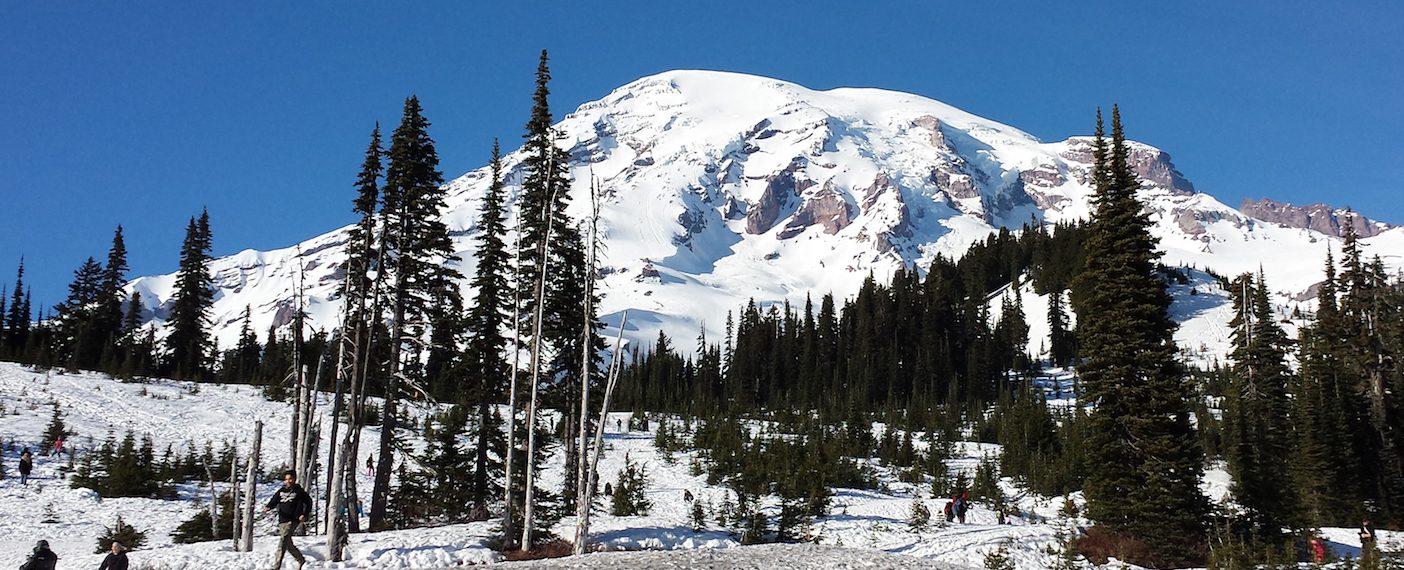 Mount rainier 2024 guided hikes