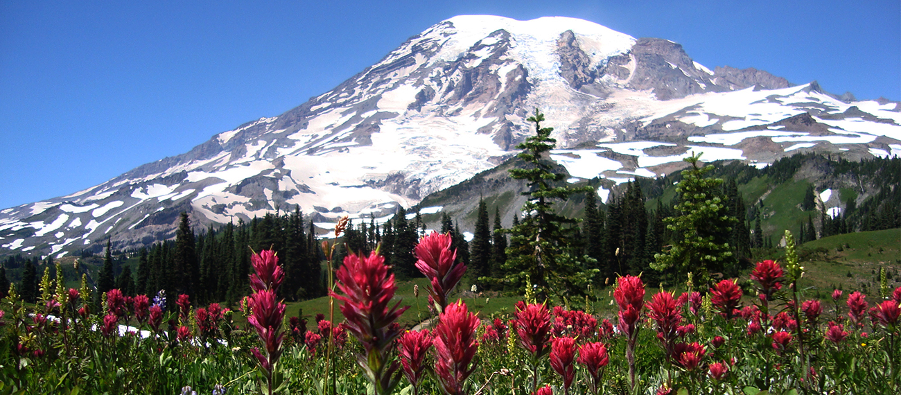 Mount Rainier National Park Visitor Programs Donation