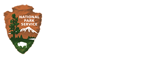 NPS