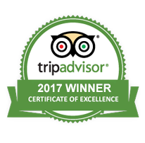 Trip Advisor