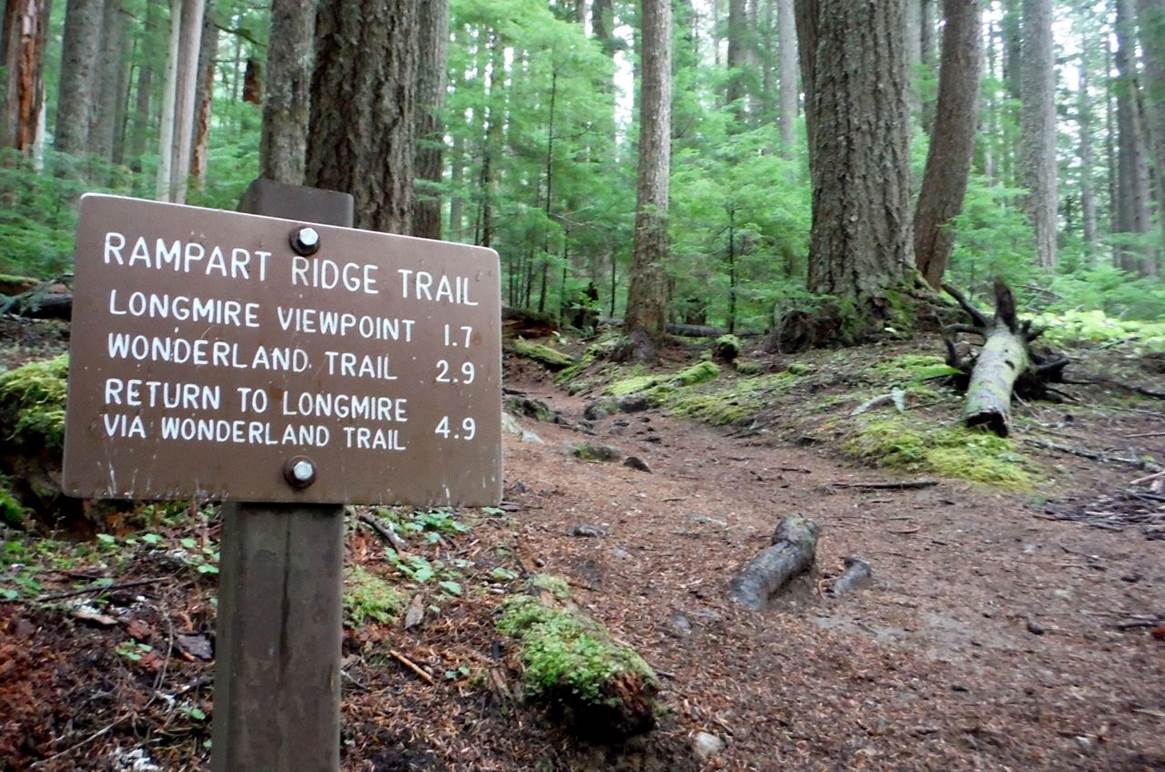 Rainier Trails