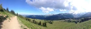 Mount Rainier Scenery