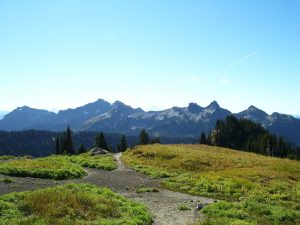 Mount Rainier Mountains