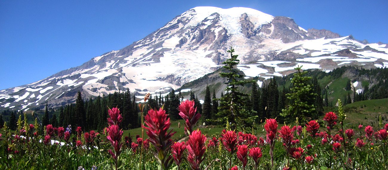 Special Offers & Packages | Mt. Rainier National Park Lodging