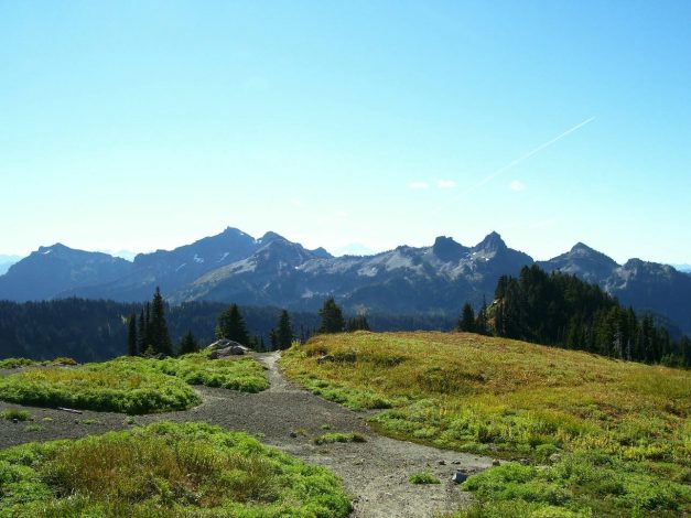 Mount Rainier Scenery